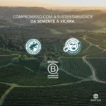 Café em Grãos Orfeu Clássico 250g Torra Média 100% Arábica