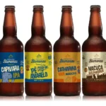 Kit 4 Cervejas Degustação Cervejaria Blumenau Artesanal